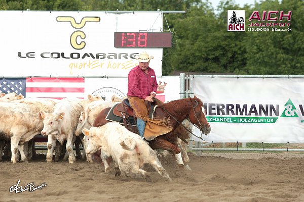 H&V a cutting horses